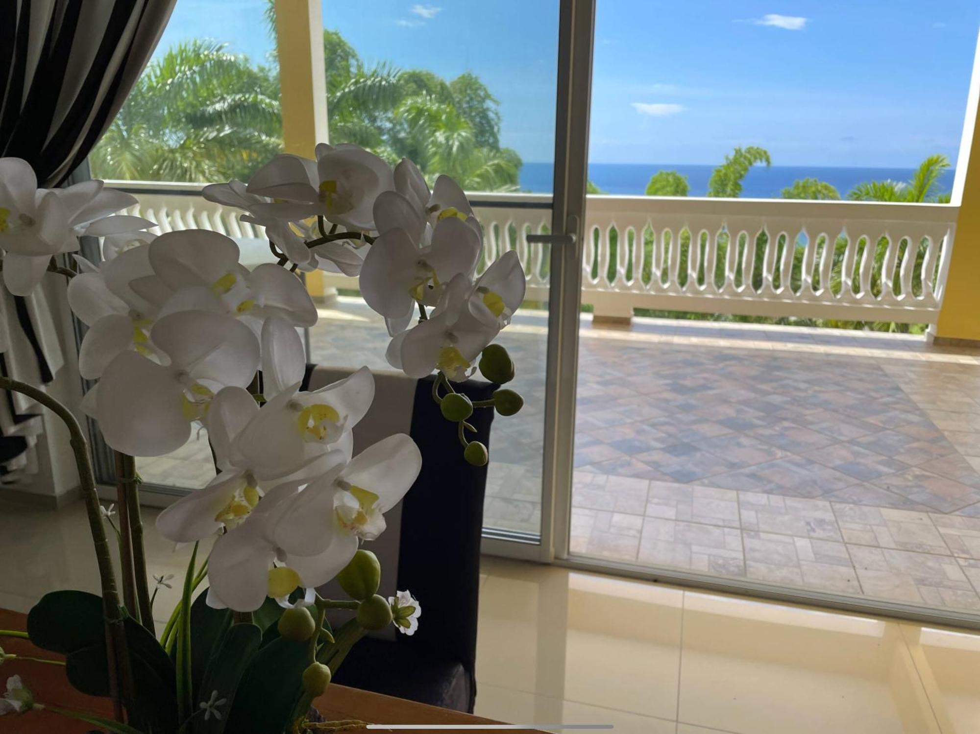 Spring Garden Mobay Resort Montego Bay Exterior photo